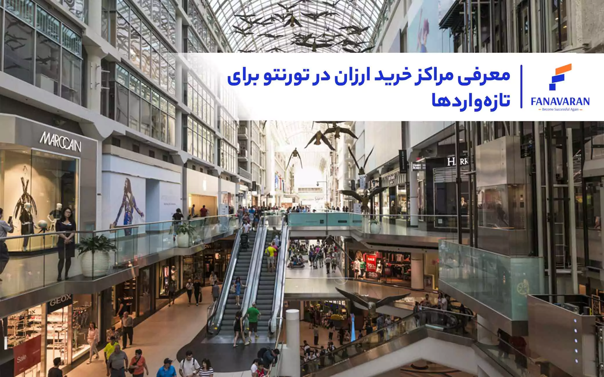 معرفی مراکز خرید ارزان در تورنتو برای تازه‌واردها