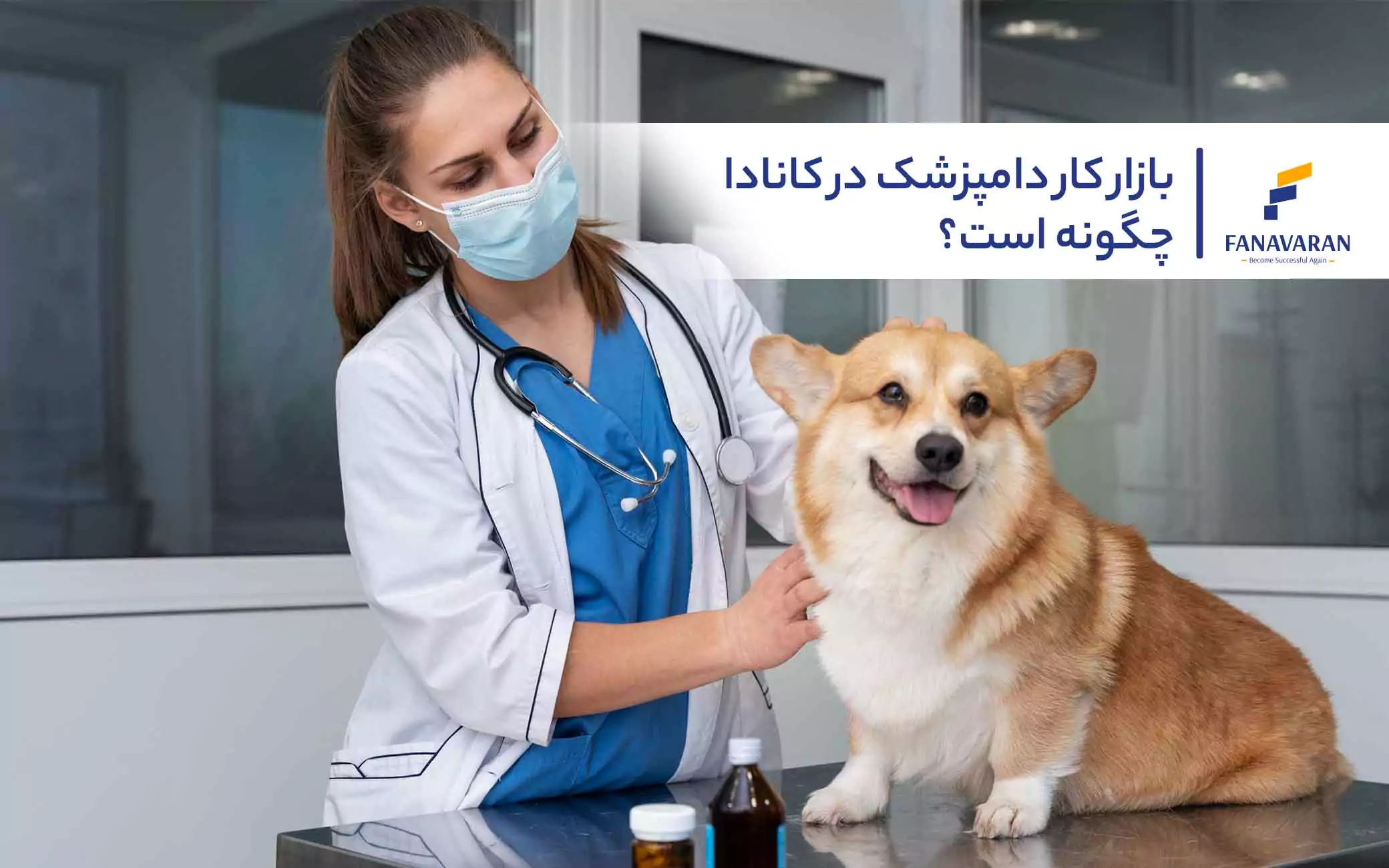 بازار کار دامپزشک در کانادا چگونه است؟